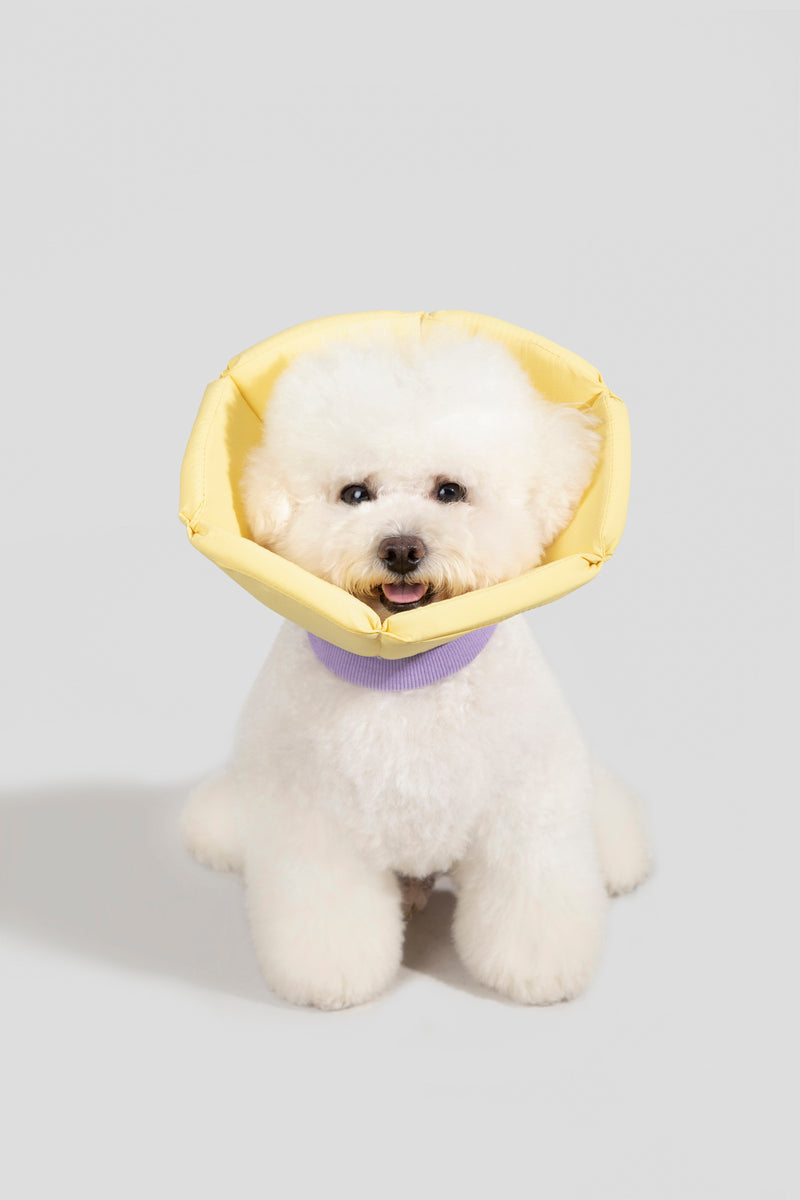 Collar isabelino de esponja suave HiDREAM para perros y gatos pequeños