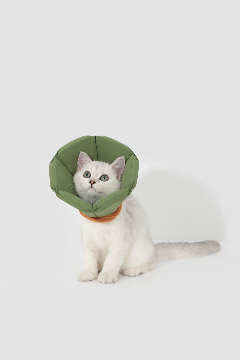 Collar isabelino de esponja suave HiDREAM para perros y gatos pequeños