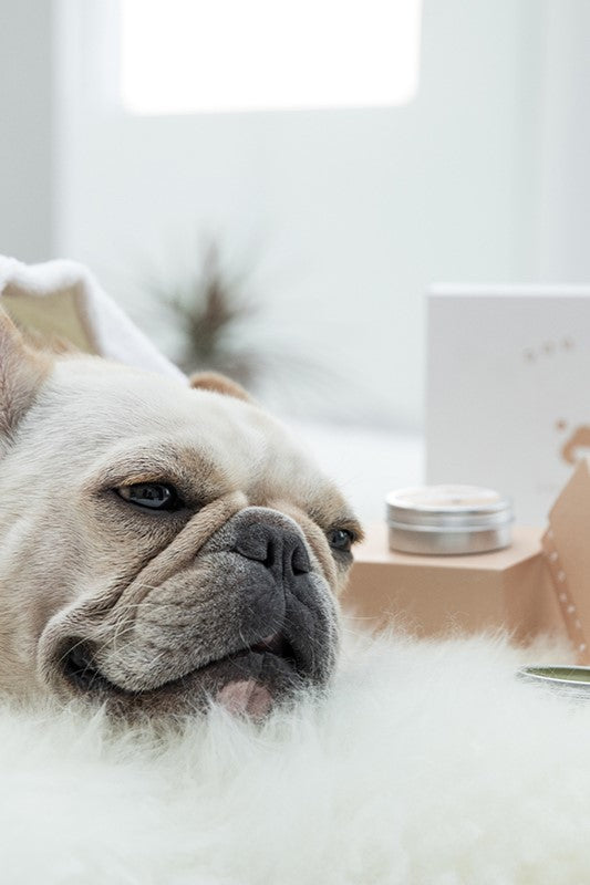 Amo Petric Avocado Organic Nose Balm for Dogs & Cats