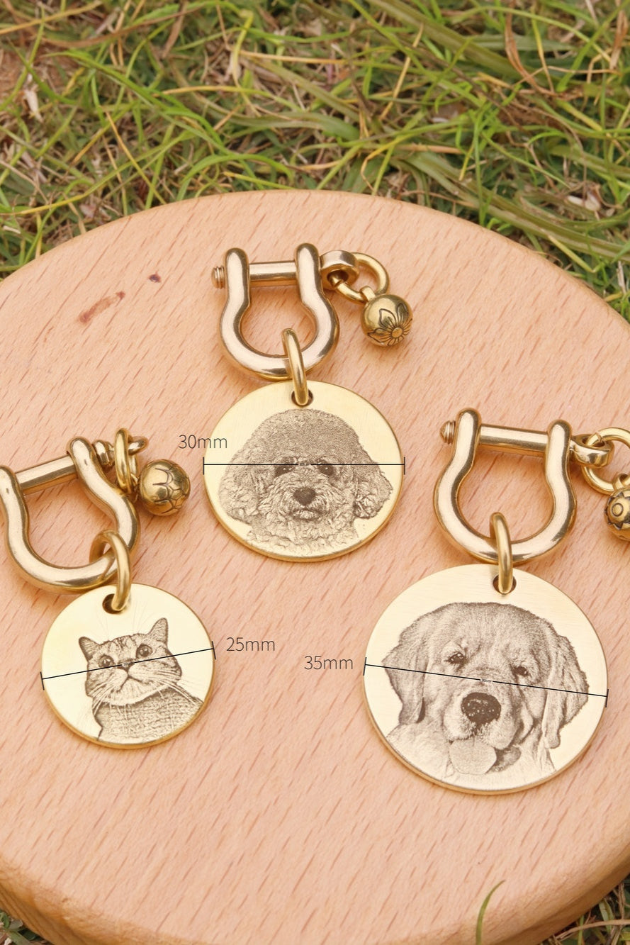 Gold dog tags with engraved pet portraits on a wooden surface with grass in the background.