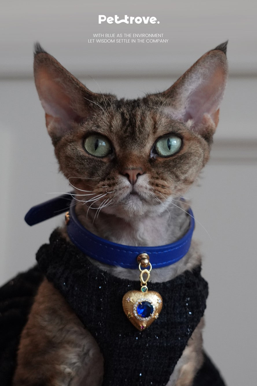 Pettrove Handmade Rhinestone Dog & Cat Leather Collar Blue Crystal Pendant