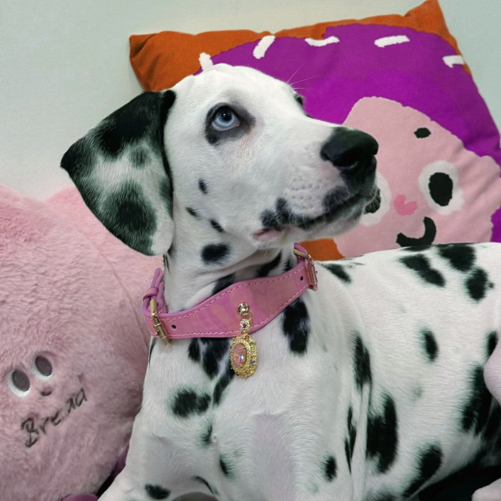 Pettrove Handmade Rhinestone Dog & Cat Leather Collar Pink Zircon Pendant