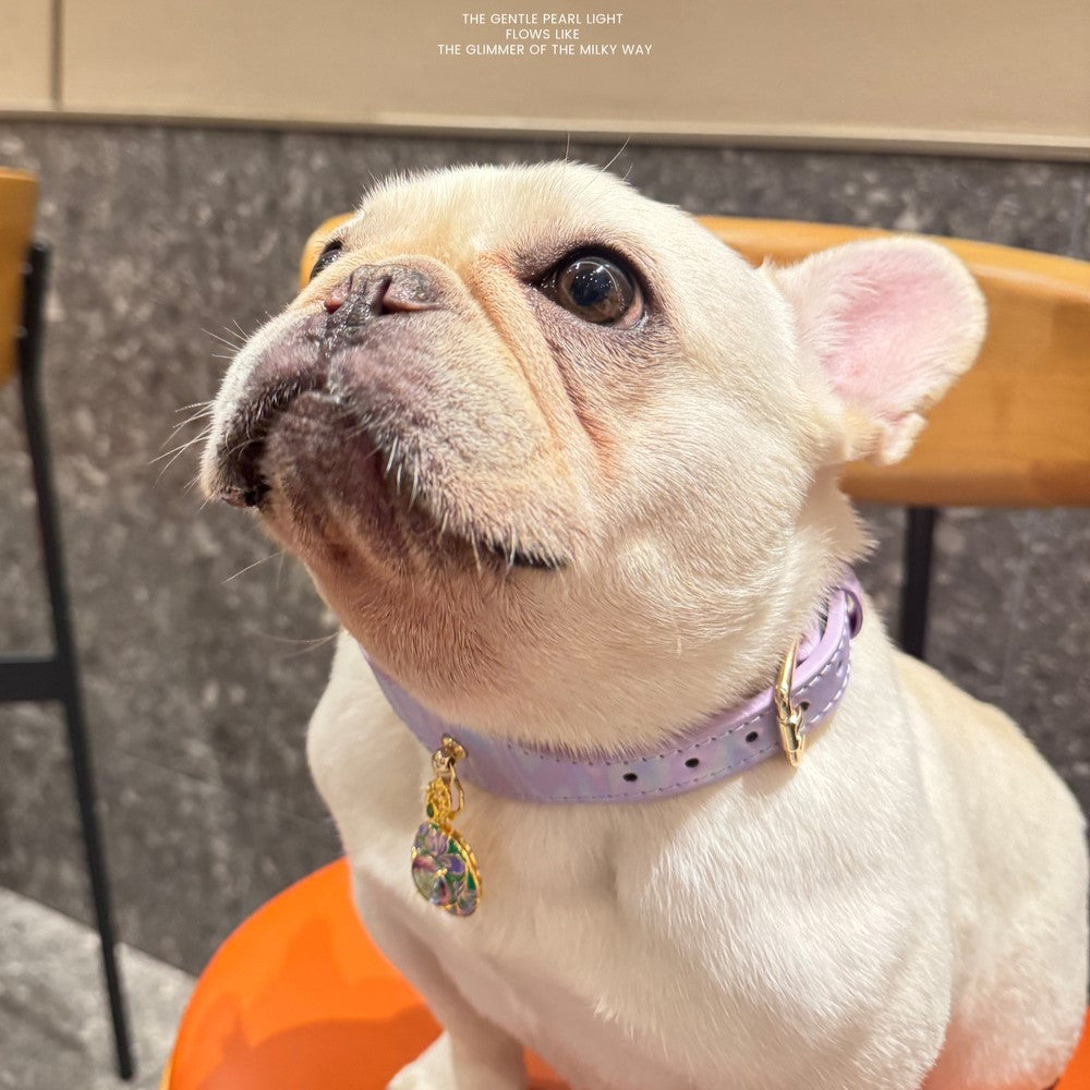 Pettrove Handmade Rhinestone Dog & Cat Leather Collar Purple Zircon Pendant
