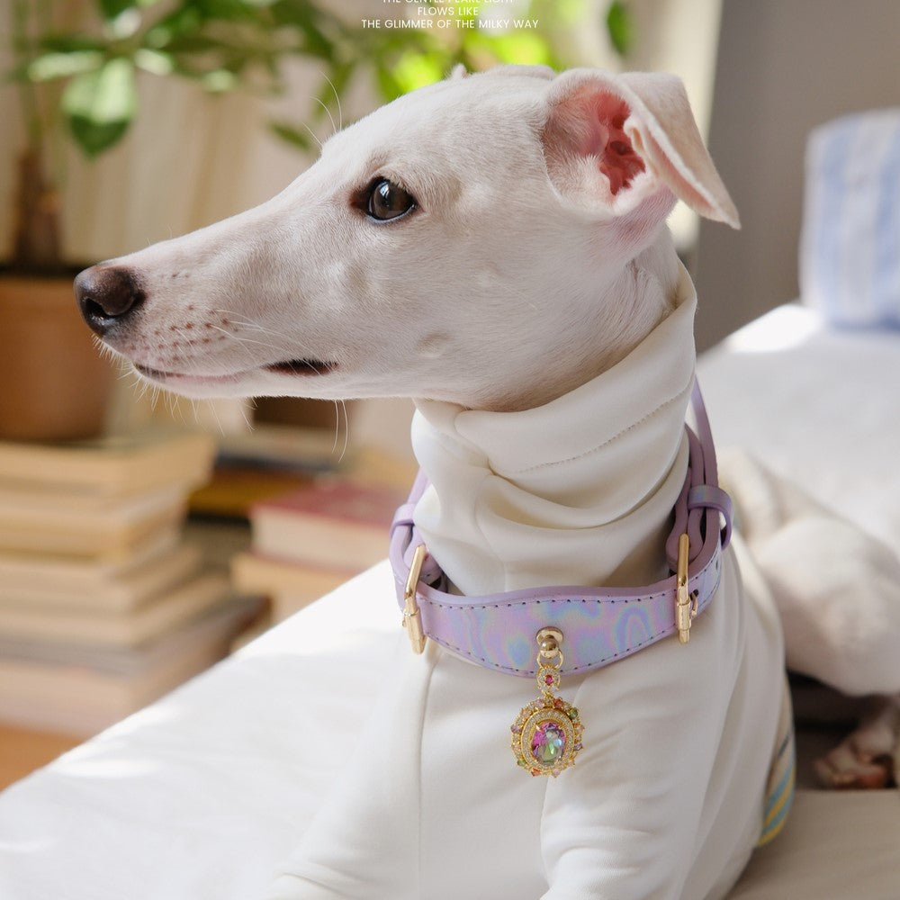 Pettrove Handmade Rhinestone Dog & Cat Leather Collar Purple Zircon Pendant
