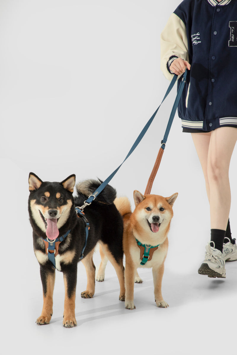 HiDREAM Bobo Adjustable H-Type Dog Harness