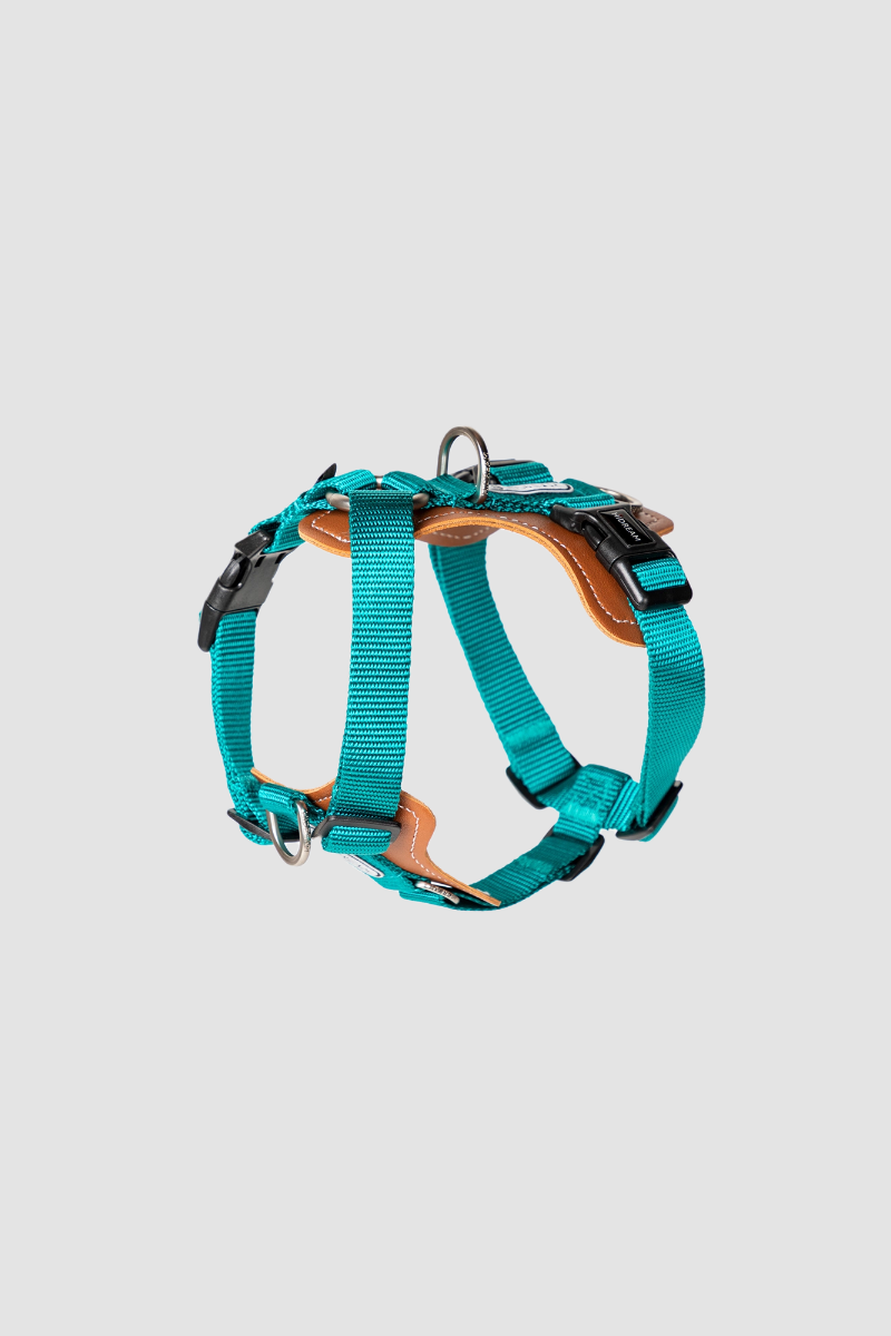 HiDREAM Bobo Adjustable H-Type Dog Harness