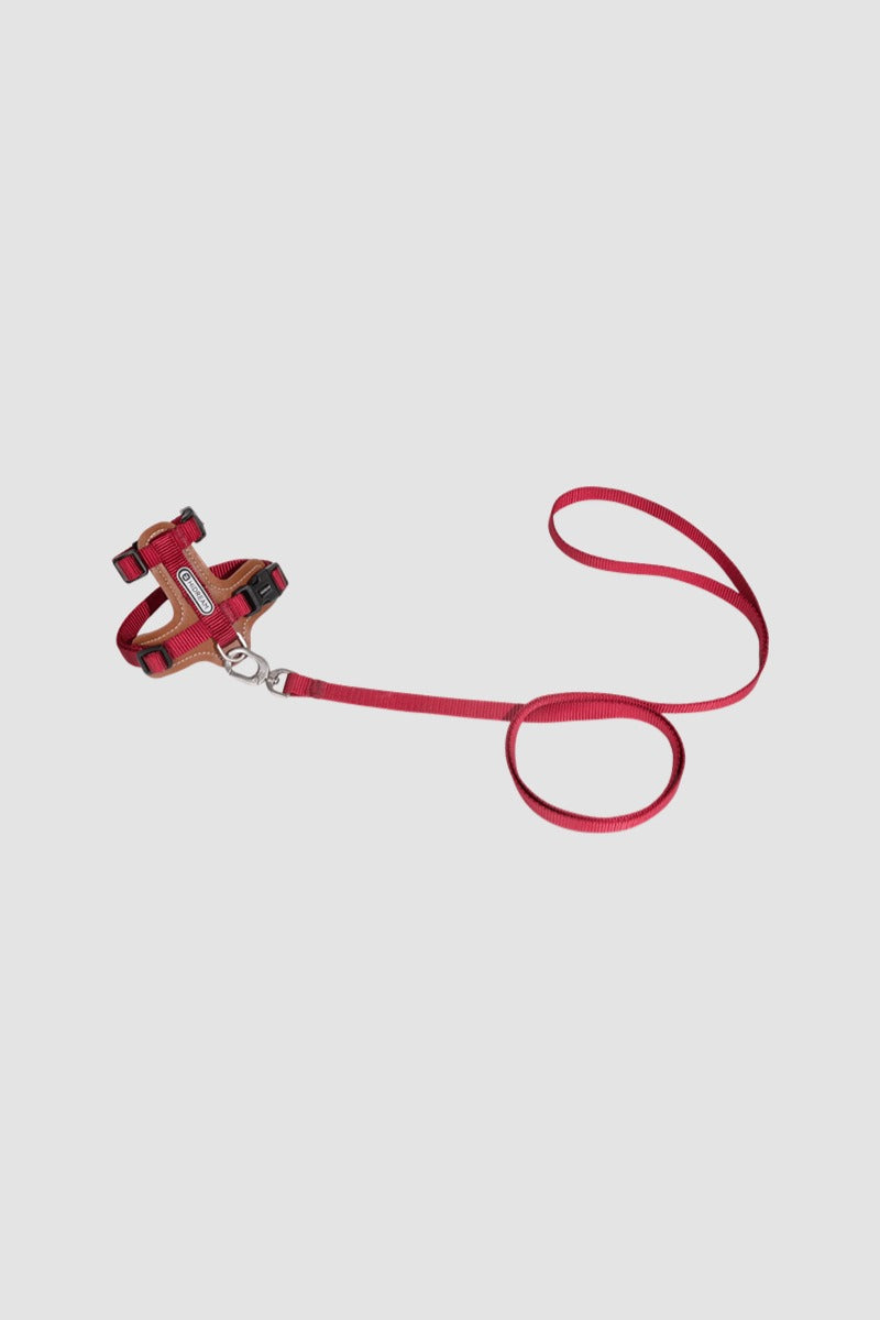 HiDREAM Bobo H-Style Cat Vest Harness & Leash Set