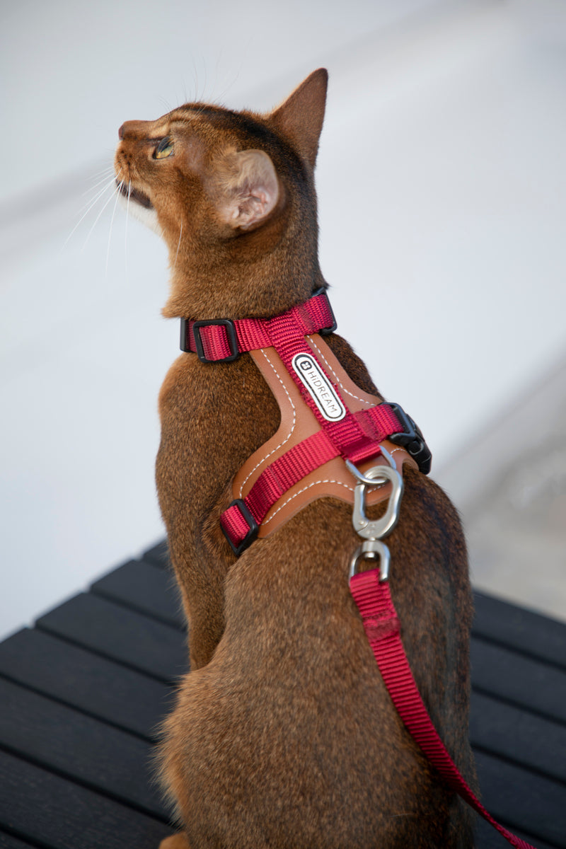 HiDREAM Bobo H-Style Cat Vest Harness & Leash Set