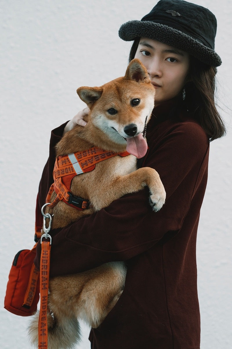 HiDREAM Chaleco Arnés de Confort para Perro Bobo Hug