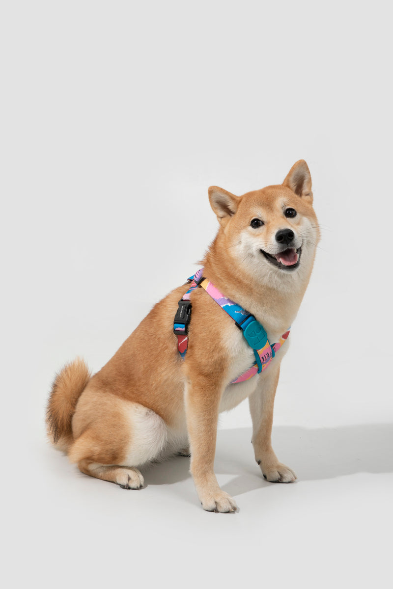HiDREAM Colorful Pro X-Shape Dog Harness