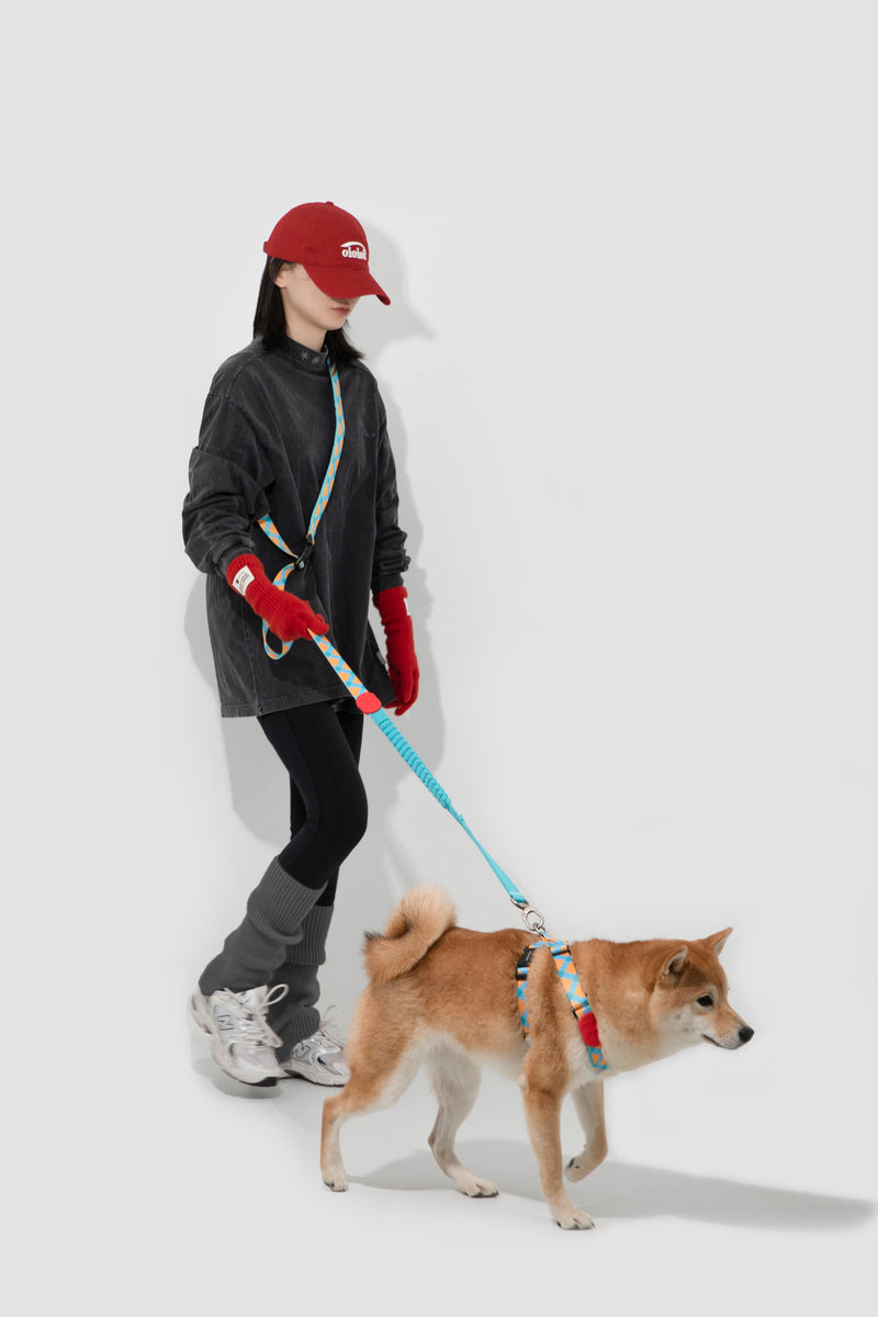 HiDREAM Colorful Pro X-Shape Dog Harness
