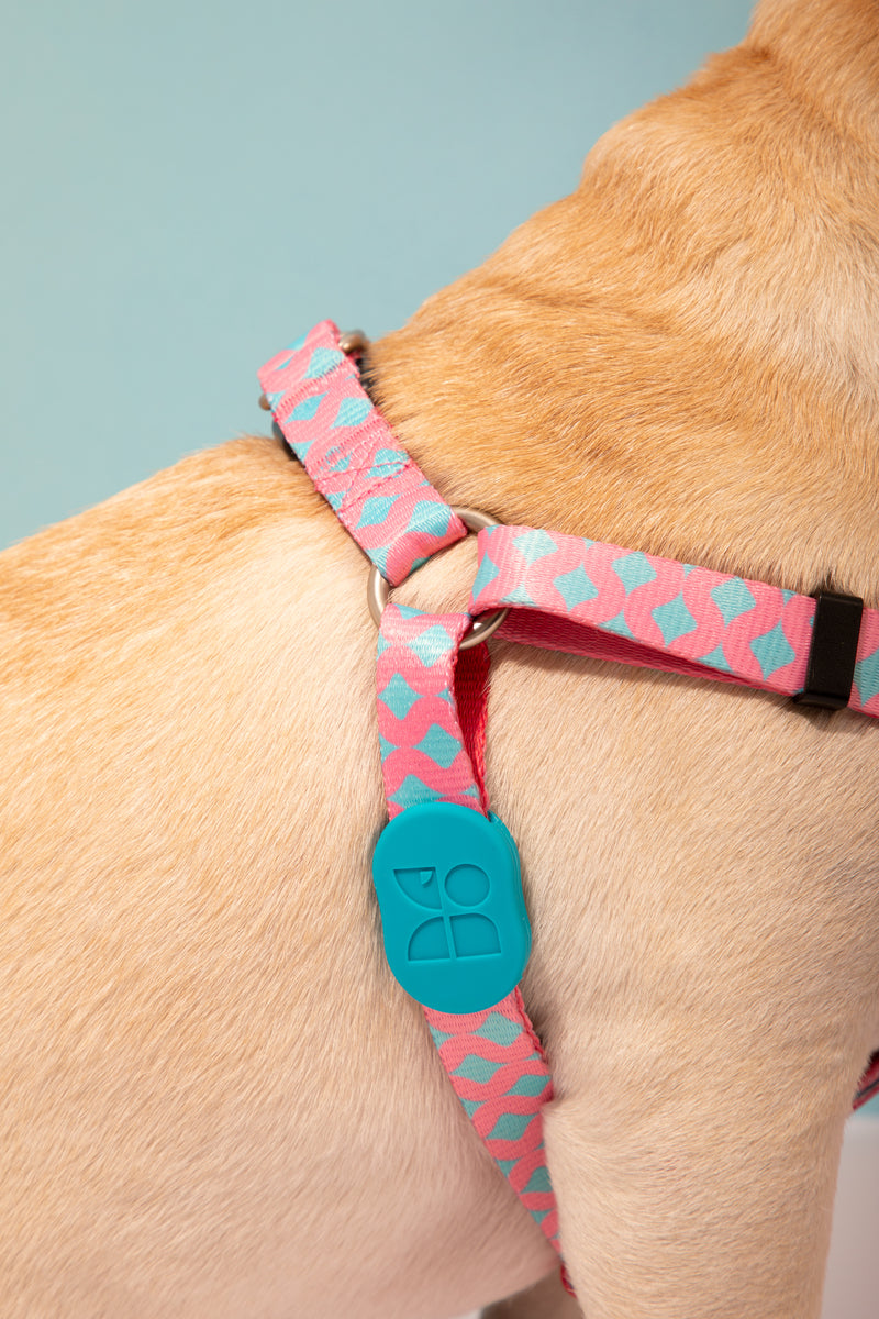 Arnés para perro en forma de Y colorido HiDREAM