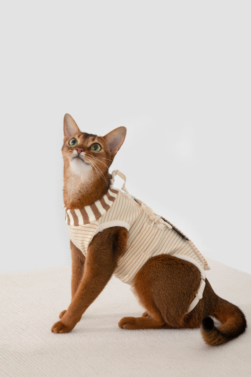 HiDREAM Escape-Proof Cat Recovery Suit