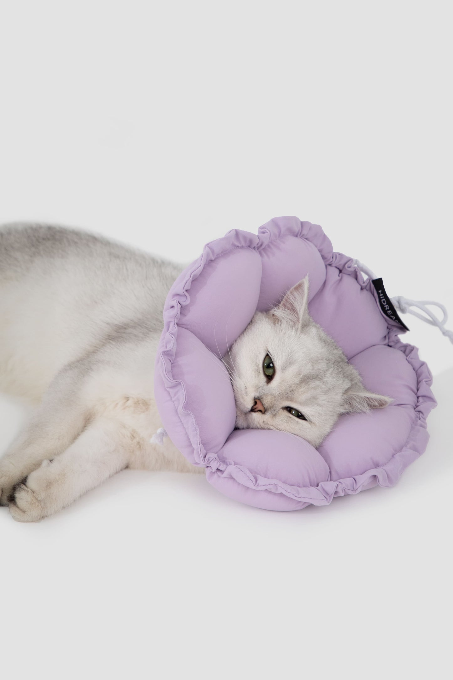 HiDREAM フローラルプロ 犬用・猫用 エリザベスカラー