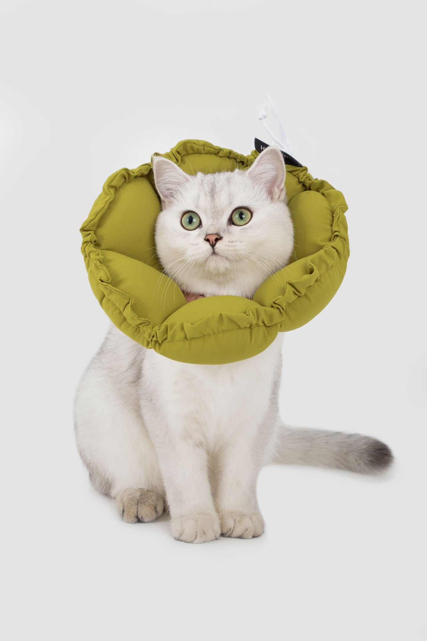 HiDREAM フローラルプロ 犬用・猫用 エリザベスカラー