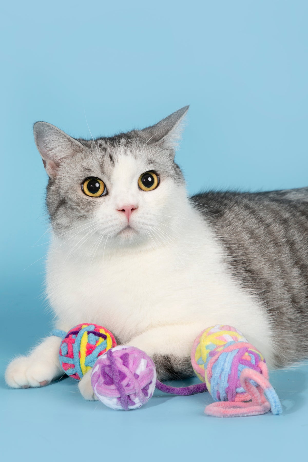 HiDREAM Handcrafted Fuzzy Yarn Ball Cat Toy with Bell 9-Pcs