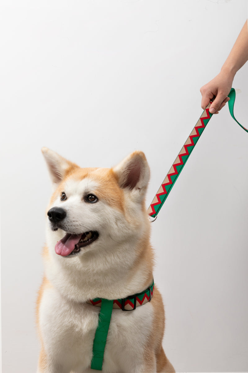 HiDREAM レインボー ハンズフリー犬用リード
