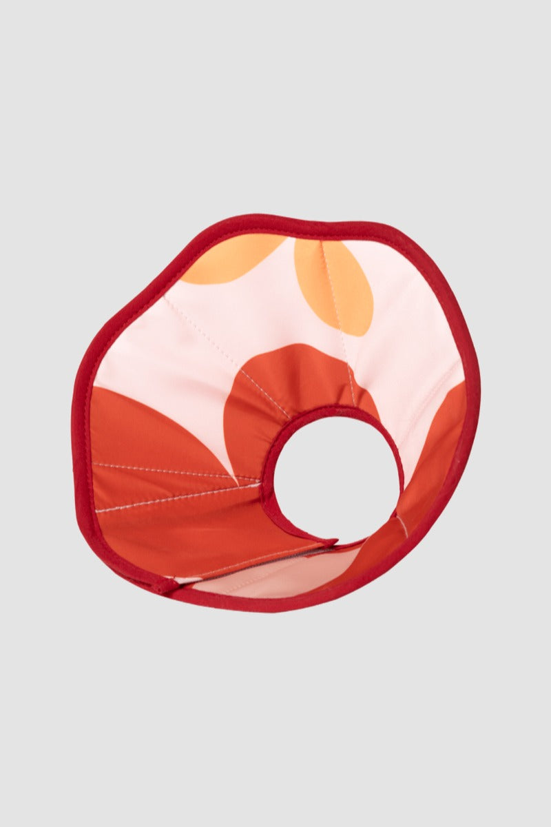 HiDREAM Soft Cone Dog & Cat Elizabethan Collar