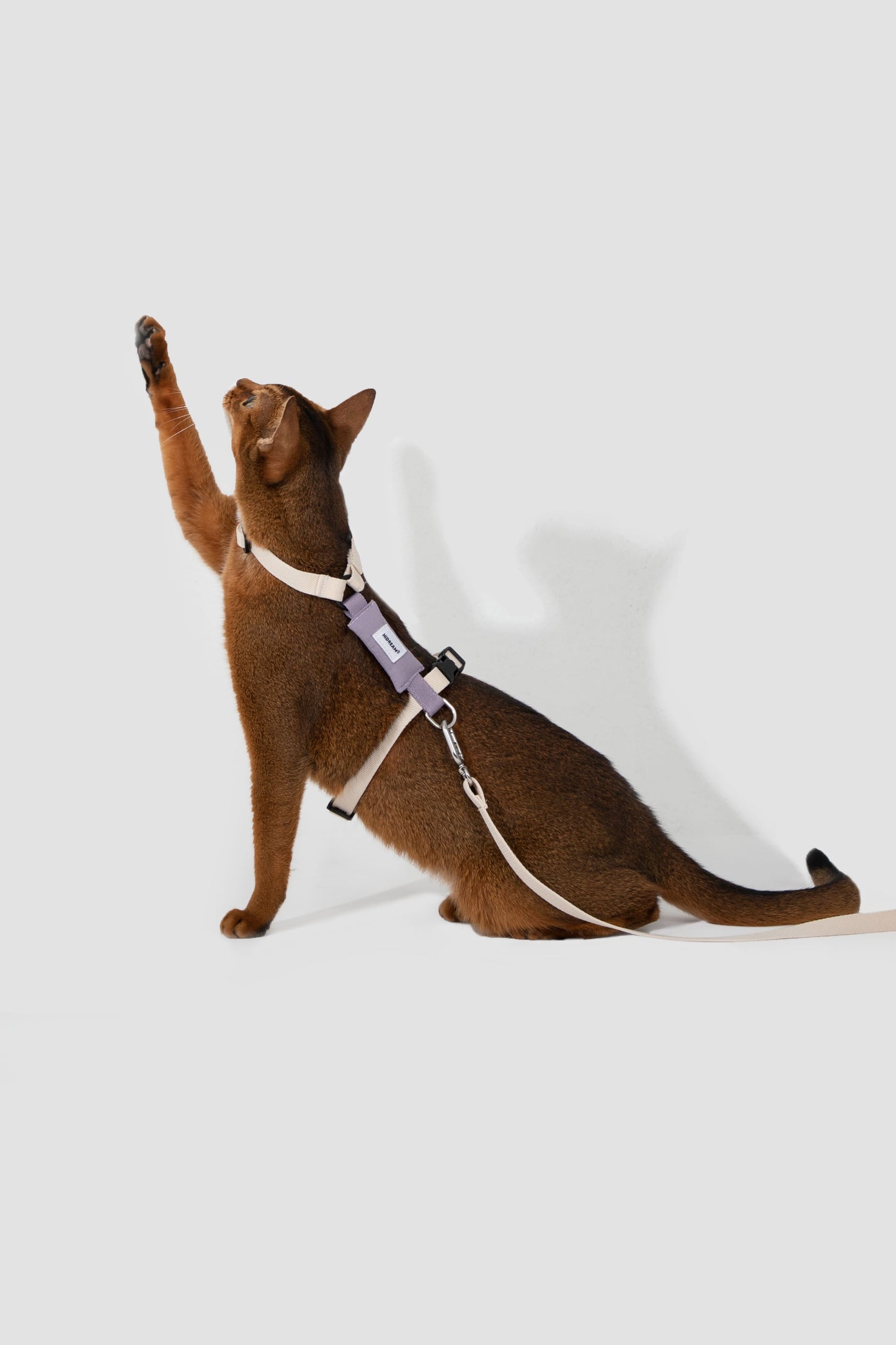 HiDREAM Valley H-Type Cat Harness & Leash Set