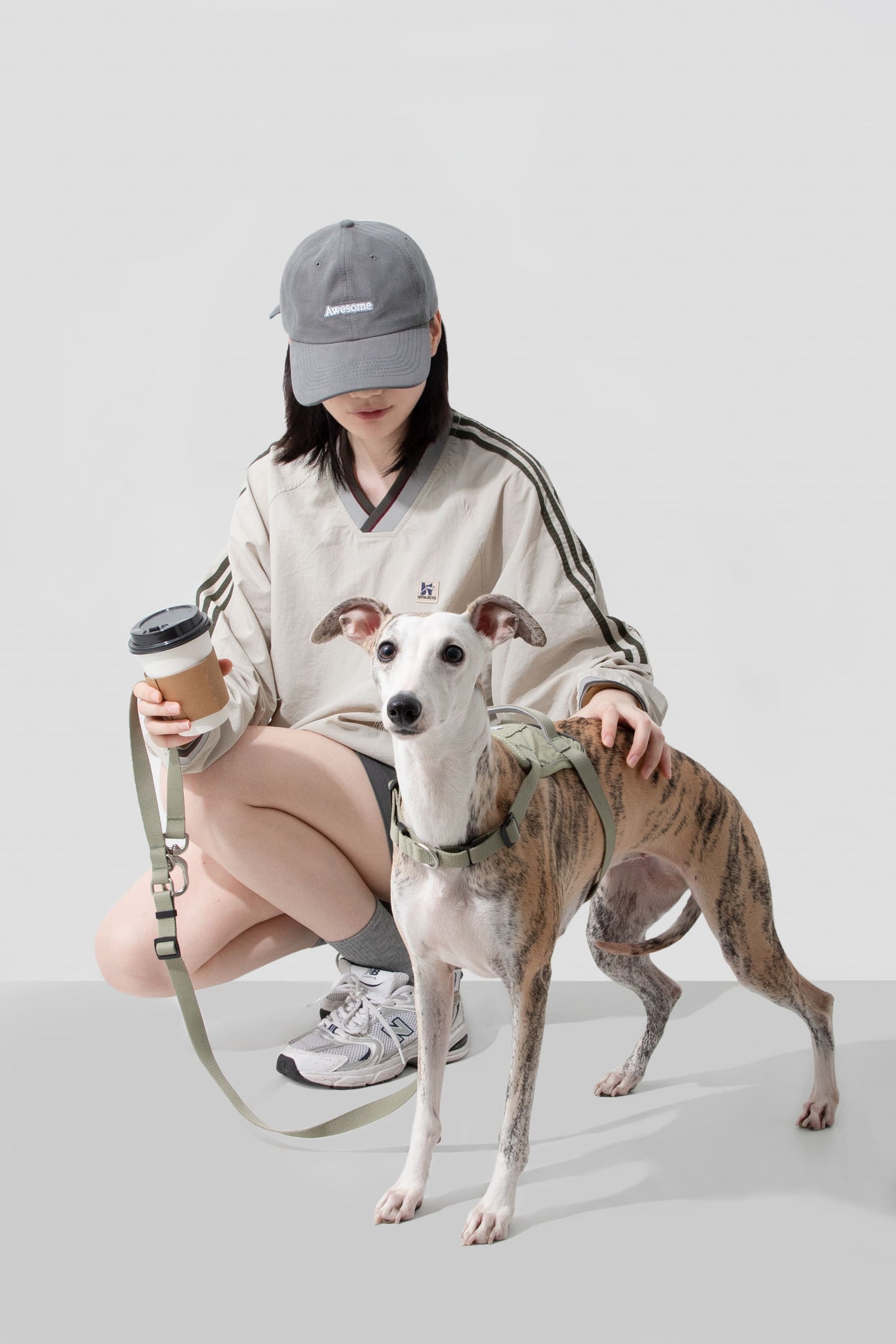 HiDREAM Valley Quick-Wear Step-In Dog Harness
