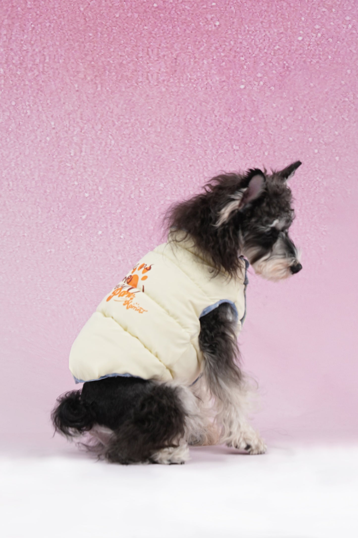 PAWSMOMENT Reversible Insulated Dog Puffer Jacket - Blue