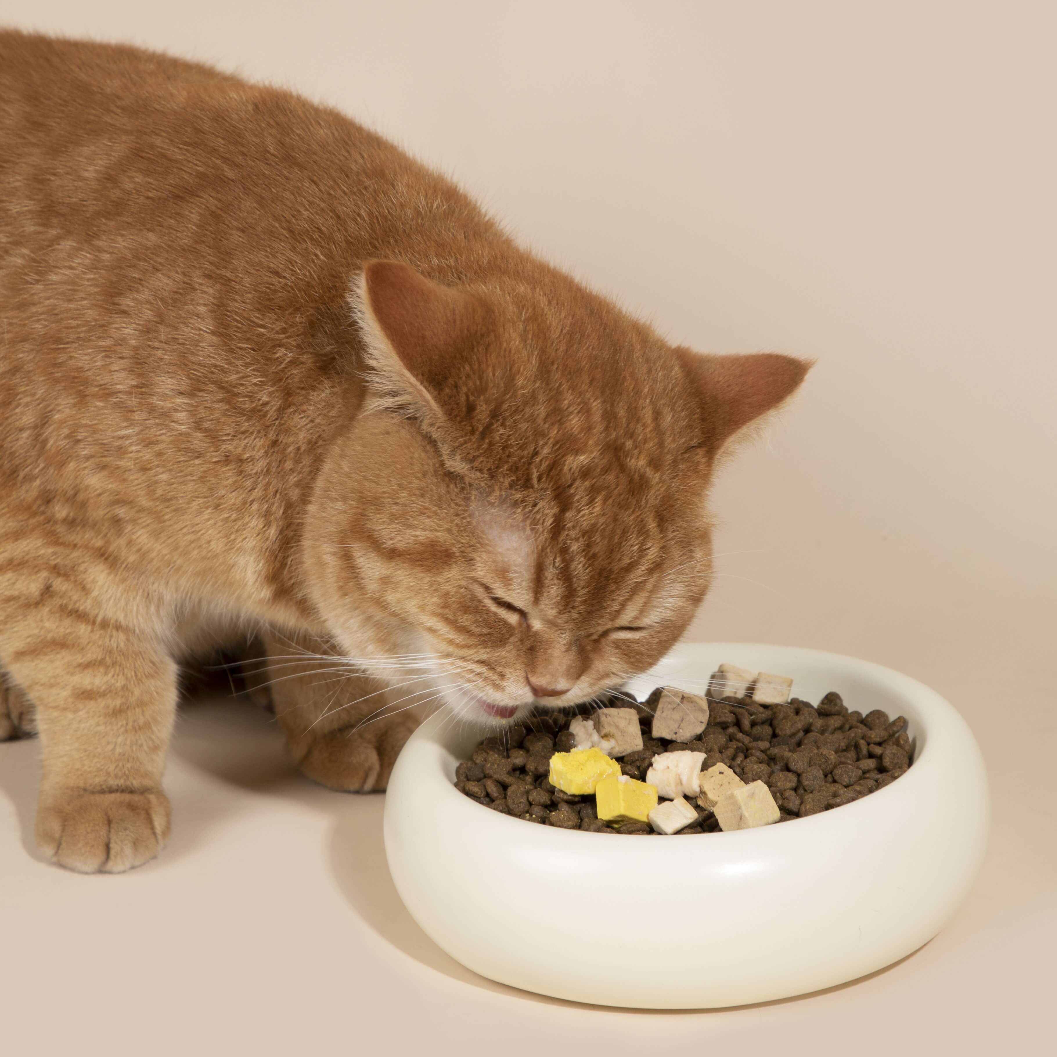 Pet Live & Care