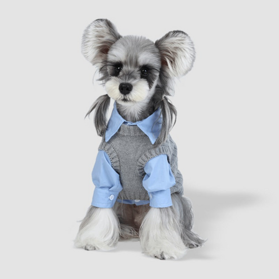 Dog Clothes