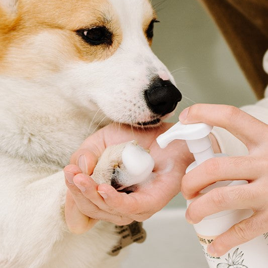 Pet Grooming