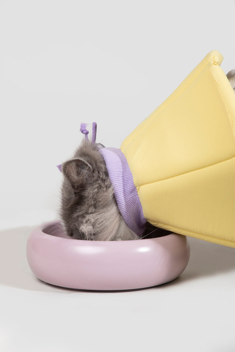 HiDREAM 소프트 스펀지 콘 소형 강아지 및 고양이 엘리자베스 칼라