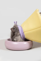 HiDREAM Soft Sponge Cone Small Dog & Cat Elizabethan Collar