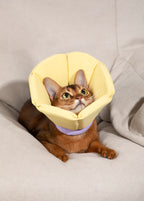 HiDREAM Soft Sponge Cone Small Dog & Cat Elizabethan Collar
