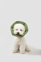 HiDREAM Soft Sponge Cone Small Dog & Cat Elizabethan Collar
