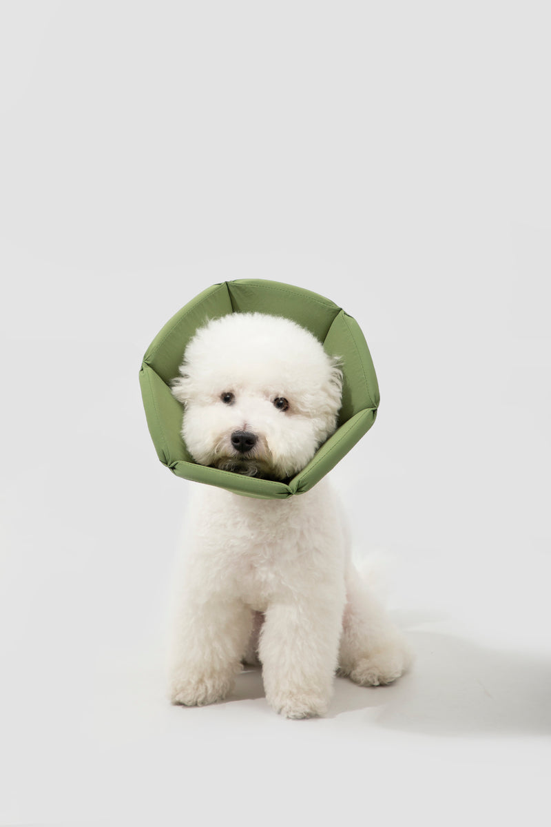 Collar isabelino de esponja suave HiDREAM para perros y gatos pequeños
