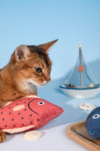 HiDREAM Starry Snapper Catnip Kicker Toy with Bell