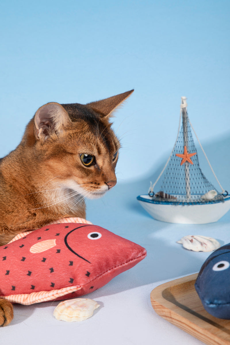 HiDREAM Starry Snapper Catnip Toy With Bell