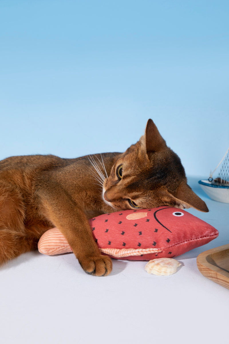 HiDREAM Double-Winged Carp Fish Catnip Kicker Toy with Bell
