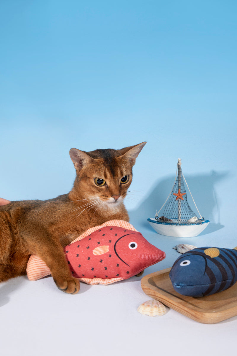 HiDREAM Starry Snapper Catnip Kicker Toy with Bell