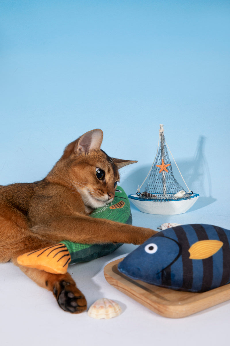HiDREAM Tiger Snapper Blue Fish Catnip Toy With Bell