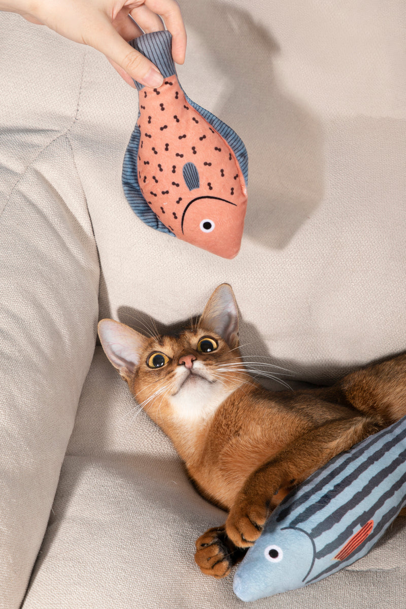 HiDREAM Double-Winged Carp Fish Catnip Toy With Bell