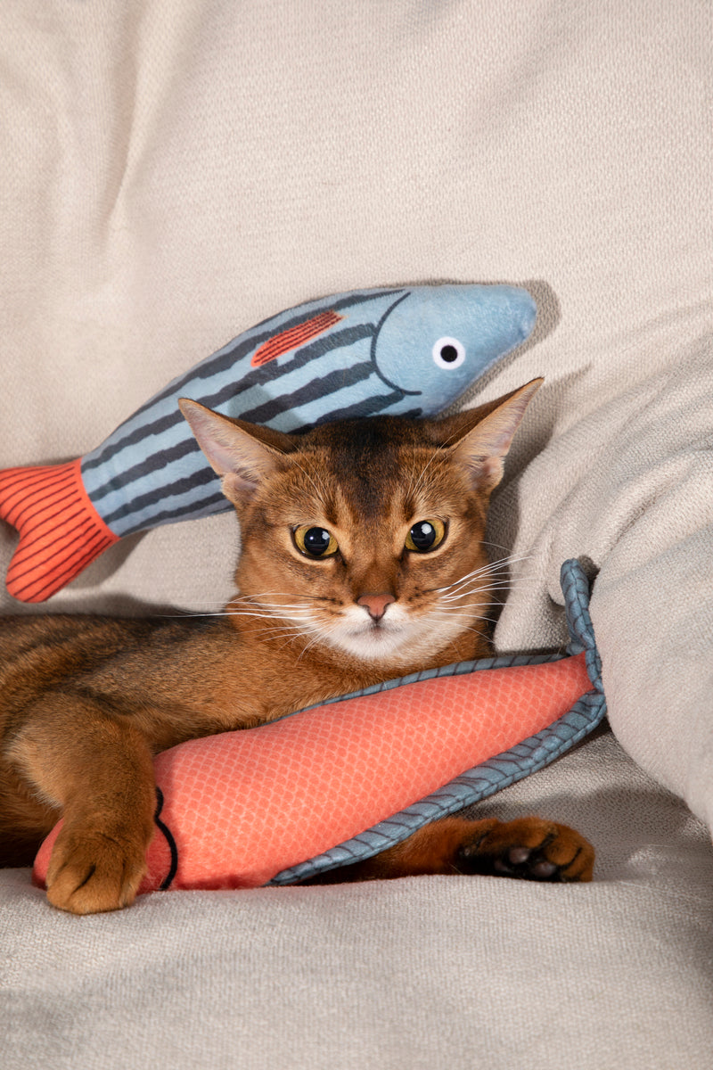 HiDREAM Striped Fish Catnip Toy With Bell