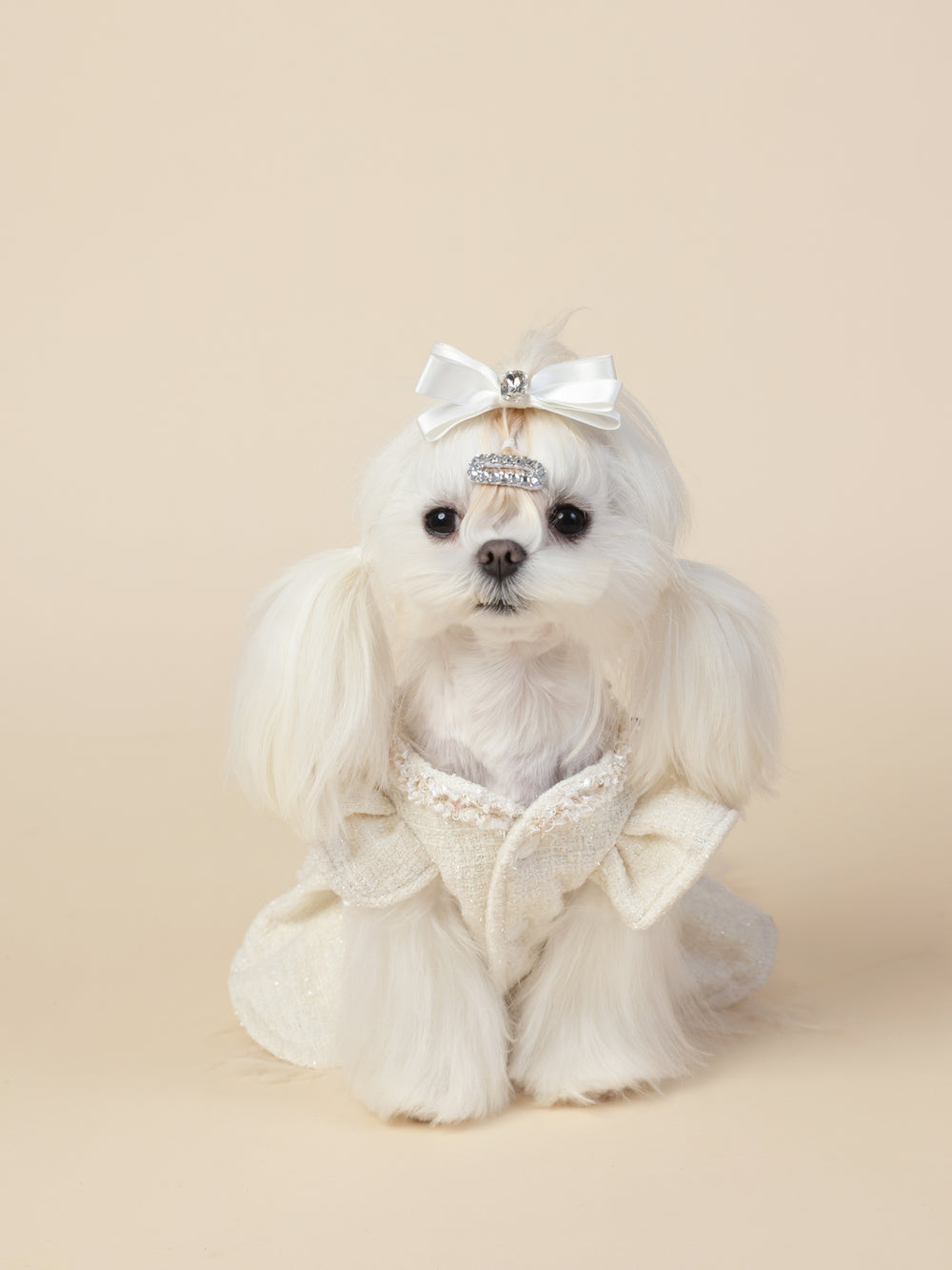 PAWSMOMENT 강아지 드레스 - 화이트