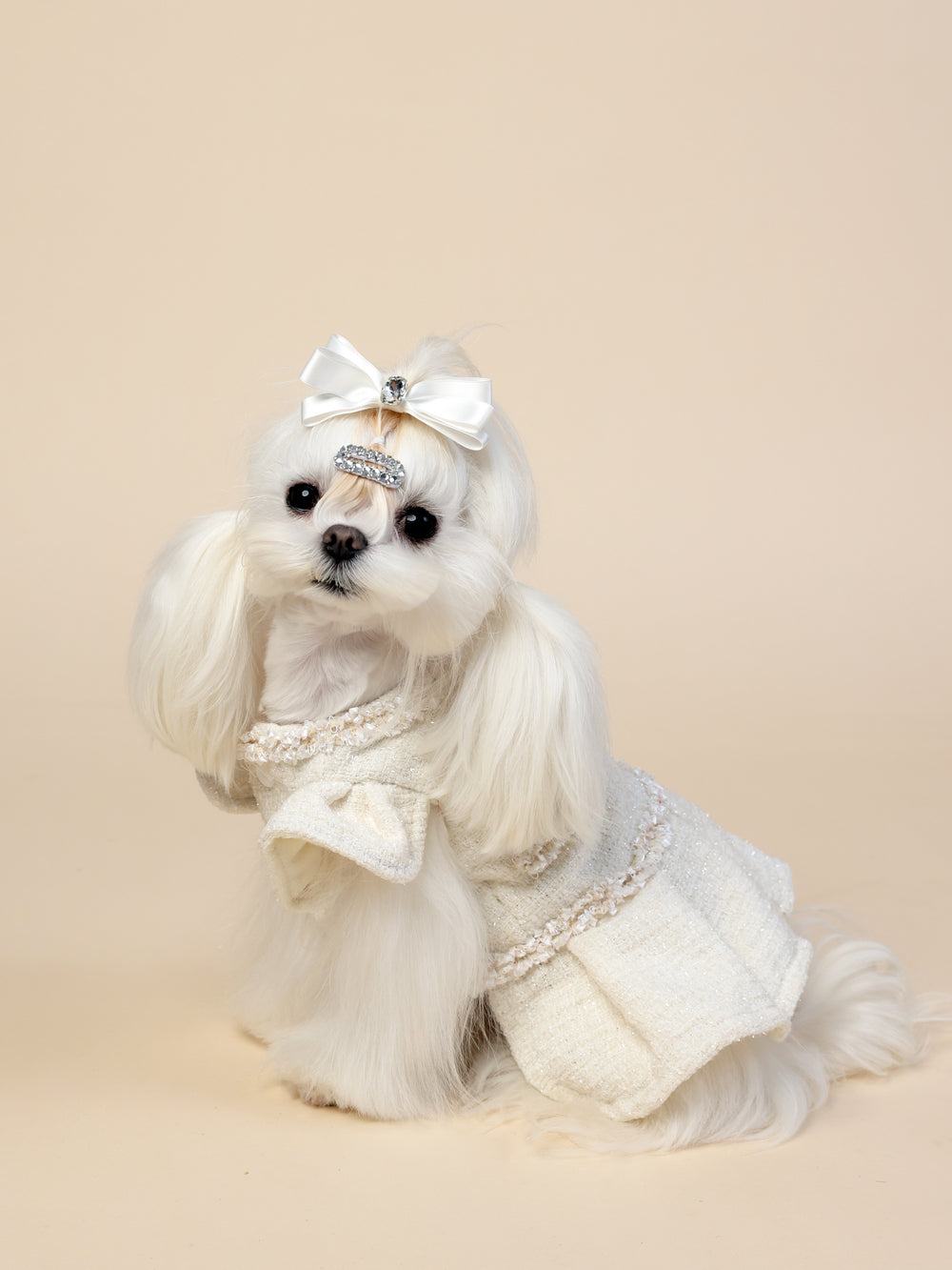 PAWSMOMENT 강아지 드레스 - 화이트