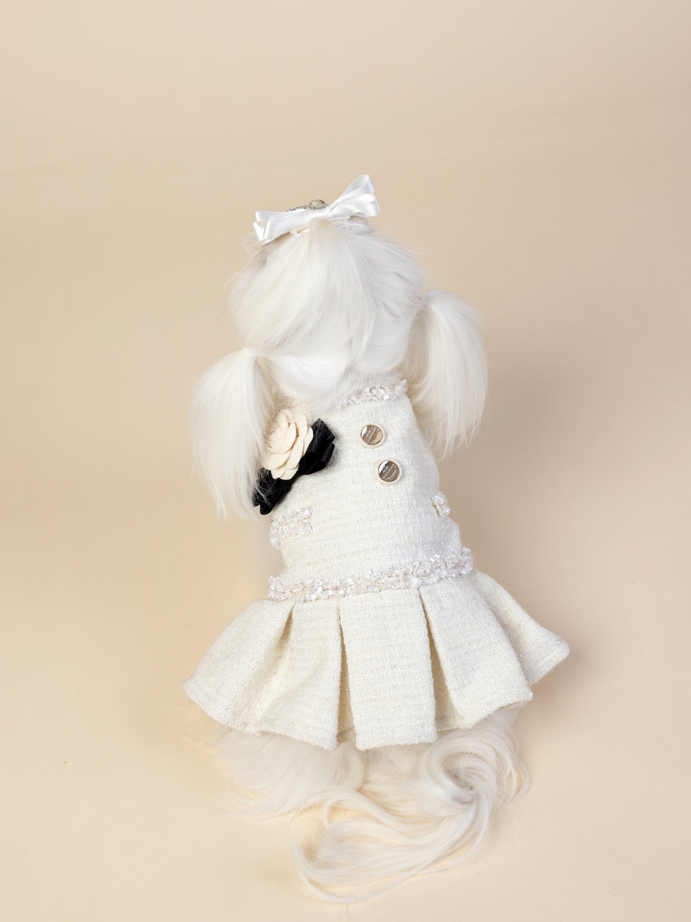 PAWSMOMENT Dog Dress - White