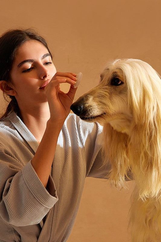 Amo Petric Blackberry Leaf Pet Tear Stain Cleaning Wipes 80 Sheets