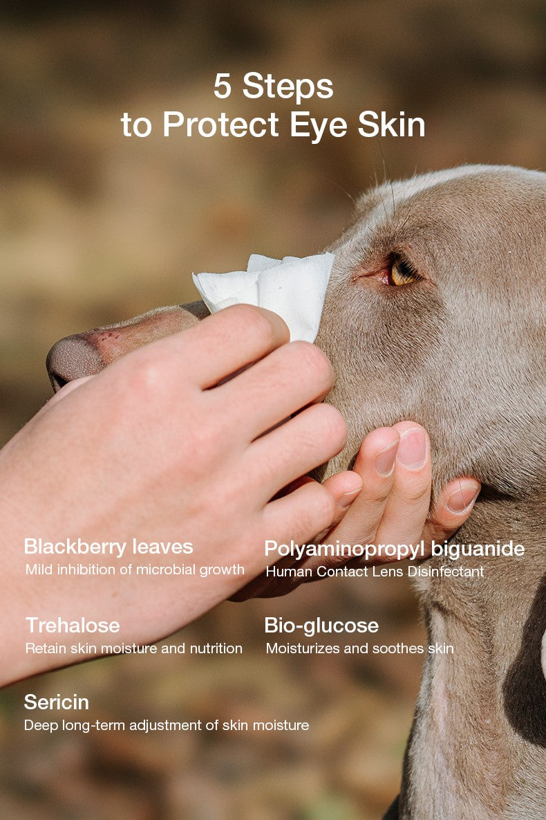 Amo Petric Blackberry Leaf Pet Tear Stain Cleaning Wipes 80 Sheets