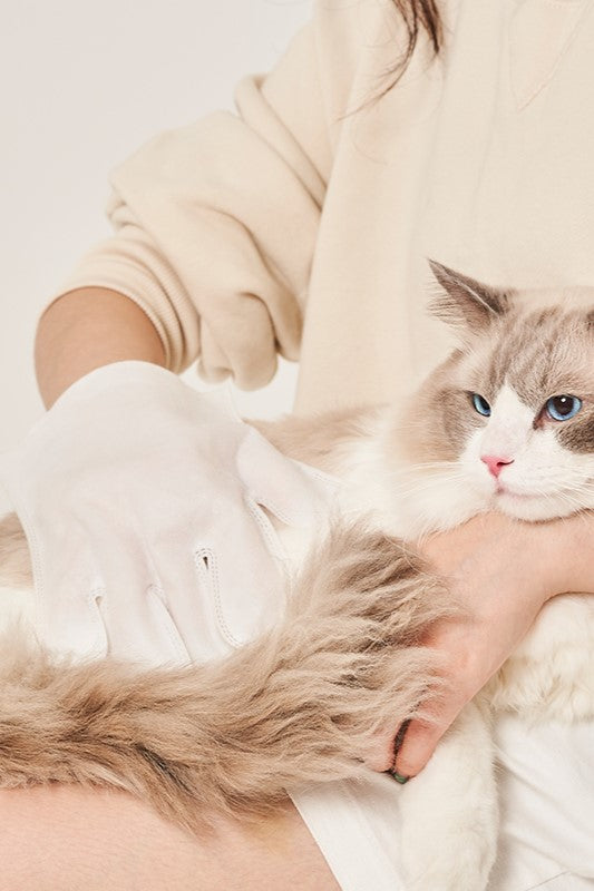 Amo Petric Blue Cypress No-Rinse Grooming Glove for Dogs & Cats 7 Psc