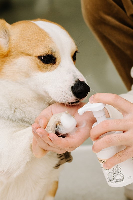 Amo Petric Coconut Oil No-Rinse Foaming Pet Shampoo for Dogs & Cats 200ml