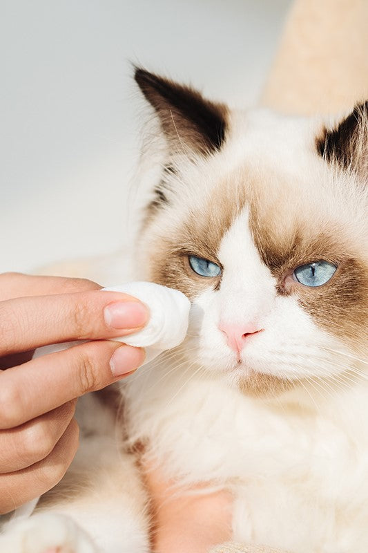 Amo Petric Jojoba Oil Unscented Pet Wipes for Dogs & Cats 50 Sheets