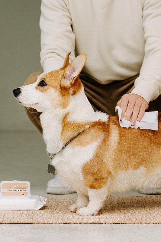 Amo Petric Grapefruit Thick Dog Wipes 20 Sheets