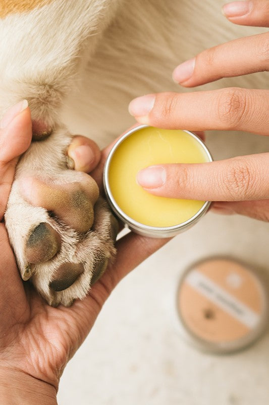 Amo Petric Sea Buckthorn Organic Paw Soother Balm for Dogs & Cats